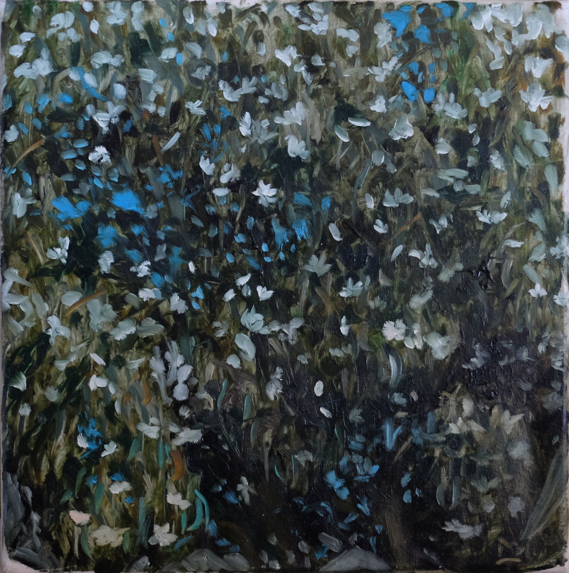 Oil painting of white and blue wildflowers scattered through dark foliage.