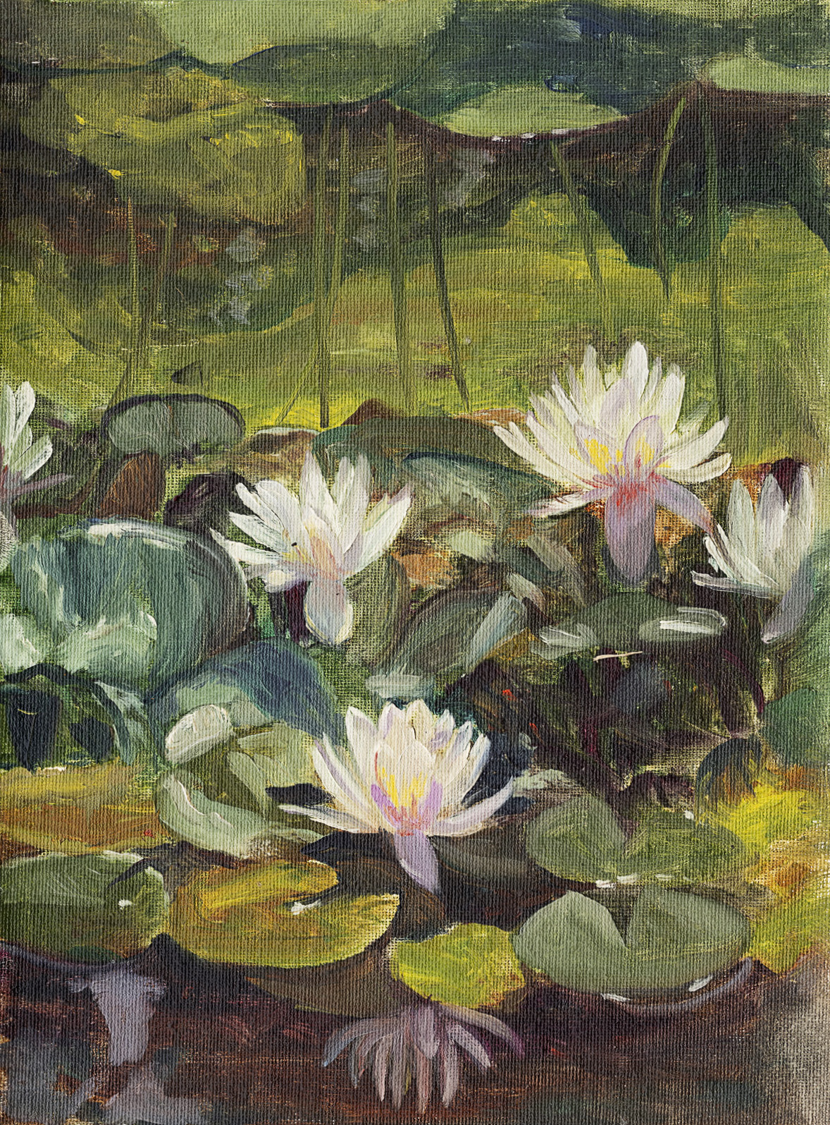 Oil painting of white and pink waterlilies among lily pads on a pond.